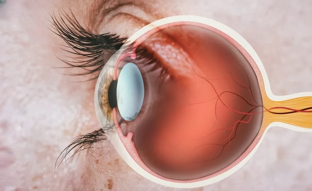 Short Term Medical Retina Fellowship