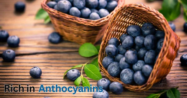 Blueberries as Antioxidants to Combat Eye Strain